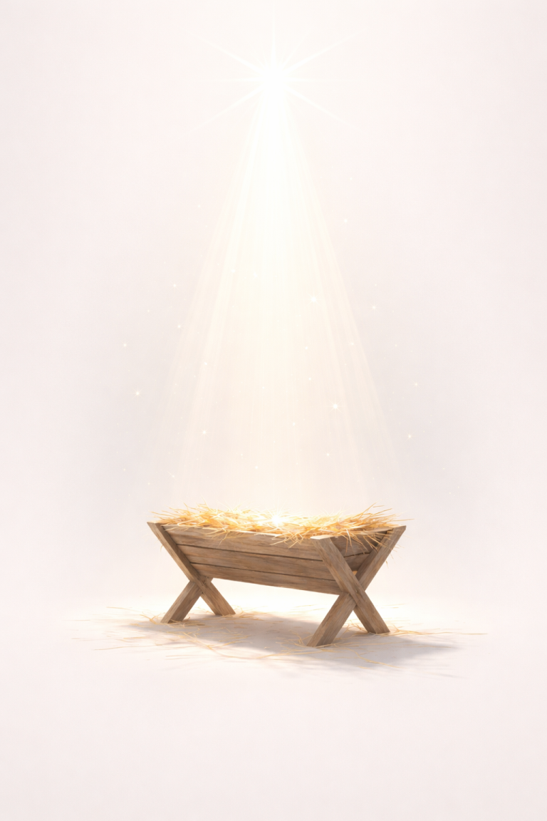 B8C26CCC-D920-41FD-9408-2E33FE541872